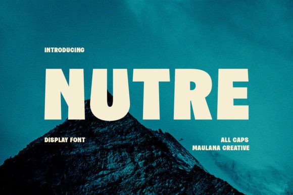 Font That Elevates Your Brand: Nutre for Business