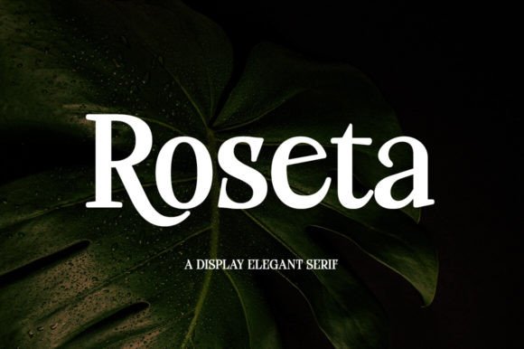 Roseta: A Font That Elevates Your Brand’s First Impression